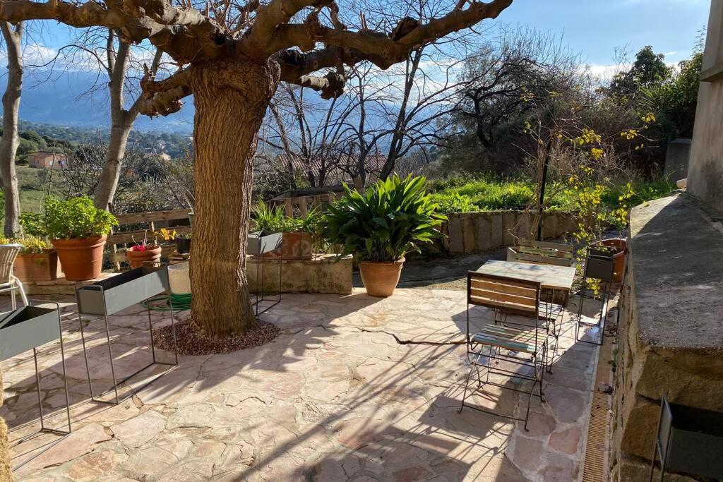 Maison Typique Corse A 10 Min D'Ajaccio Et Plages Alata Eksteriør billede